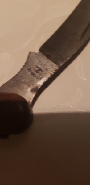 Resized_20230430_180909.JPEG