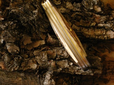 vic. zebra 012 (Large).jpg