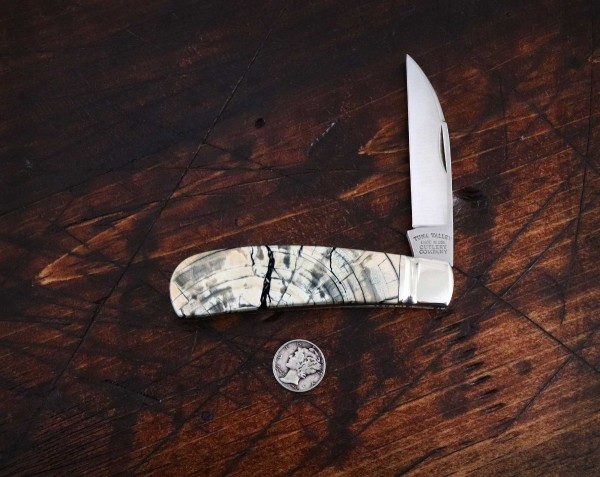 2022-tuna-phoenix-crosscut-proto-lo.jpg