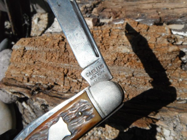 DSCF2124.JPG