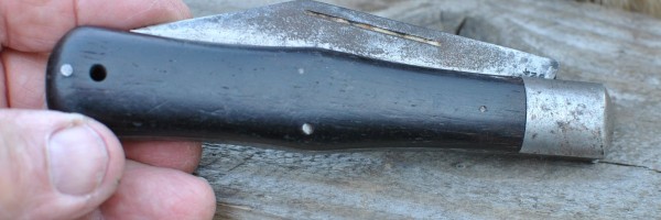 DSC_1584.JPG