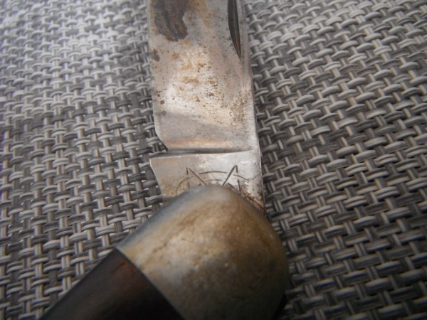 DSCF2375.JPG