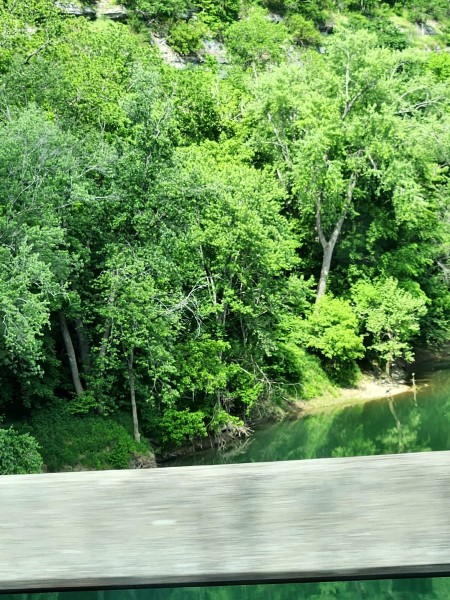 20230513_162926.jpg