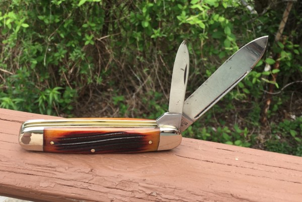 Amber Winterbottom Bone Scales