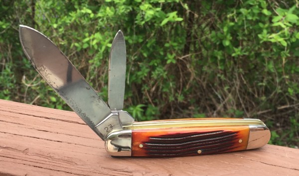 Amber Winterbottom Bone Scales