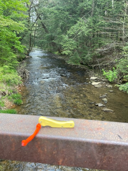 IMG_5428.jpeg