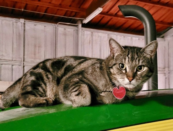 20230529_201648.jpeg