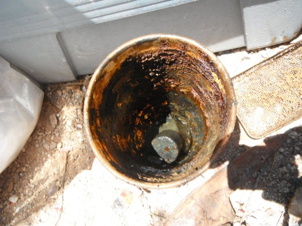 DSCF2262.JPG