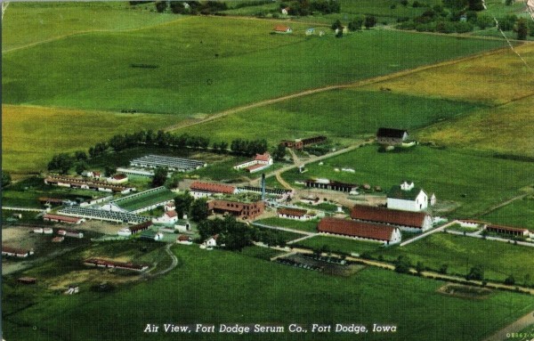 Fort Dodge Serum Company Postcard.