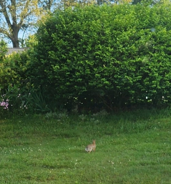 20230517_072611.jpg