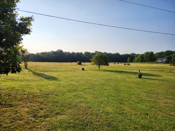 20230615_071059.jpg