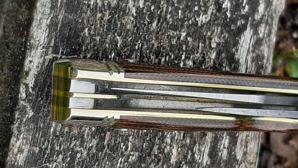 20230616_141305.jpg