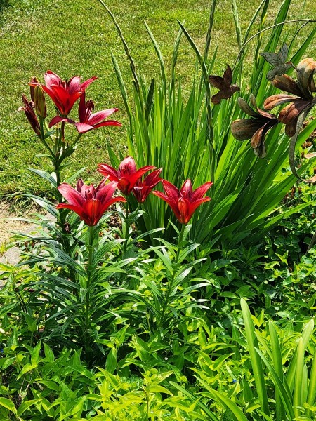 20230610_104052.jpg