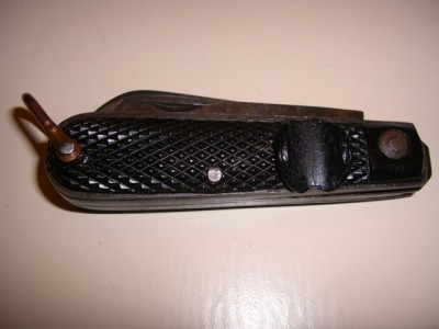 CIMG2101.JPG