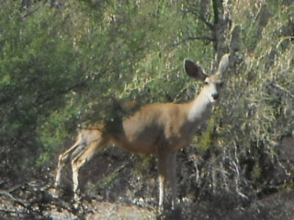 DSCF2899.JPG