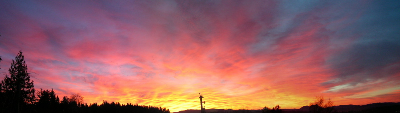 sunrise pan s.jpg