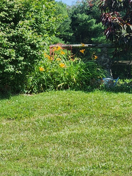 20230626_102534.jpg