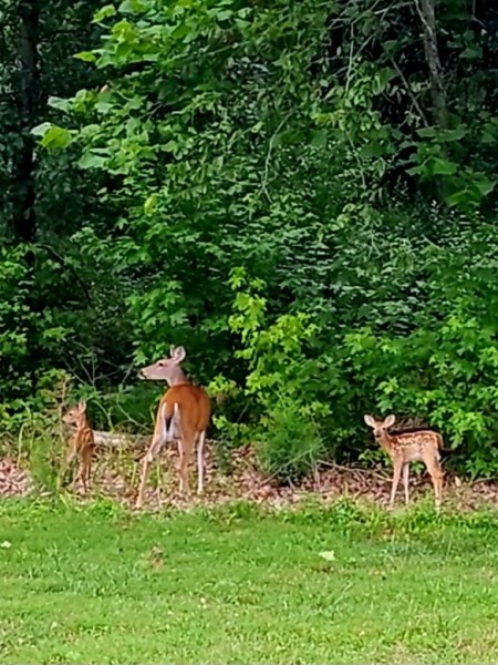 VideoCapture_20230708-185558.jpg