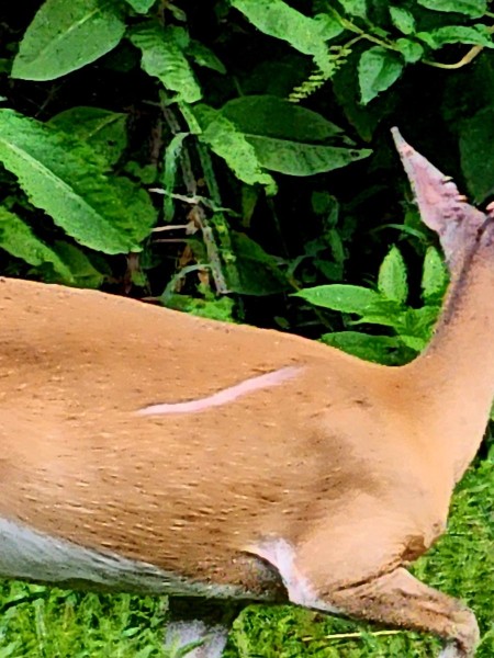 20230708_191100.jpg