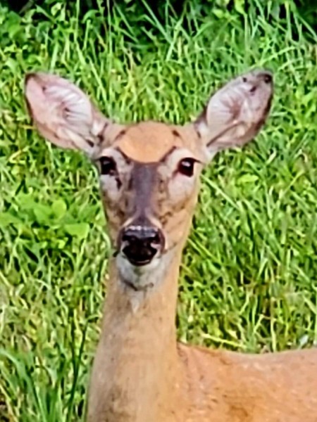 20230708_191210.jpg