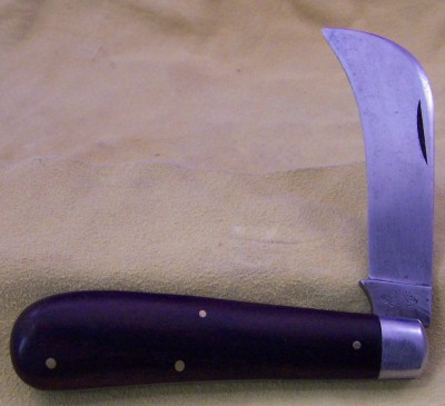 Schapleigh Hawkbill.jpg