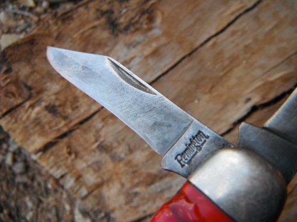 DSCF3023.JPG