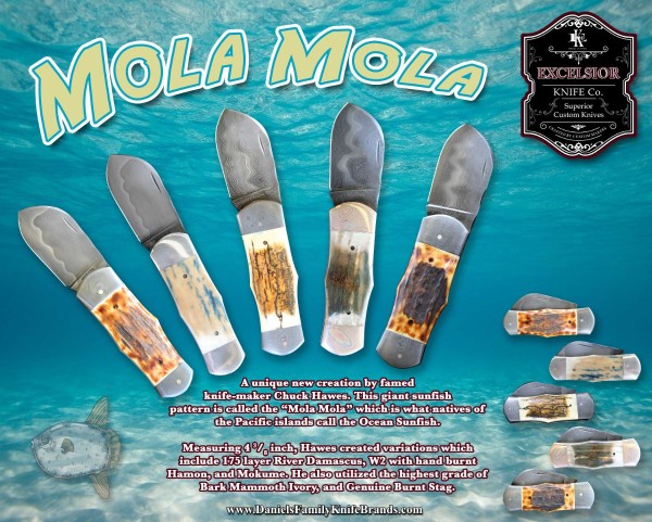 mola-mola-ad-lo.jpg