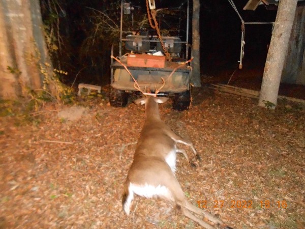 One of the 4 bucks from last season