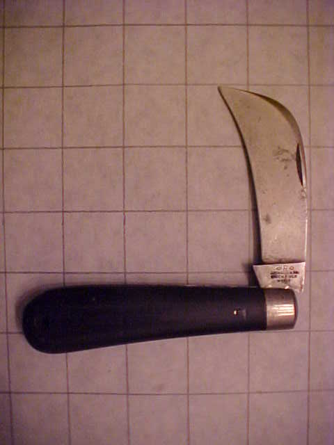 Russell Hawkbill1.JPG