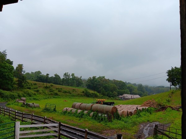 20230810_102604.jpg