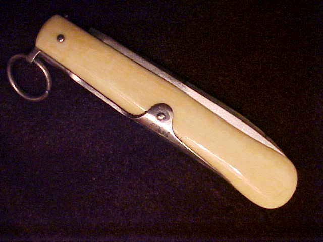 Ivory10.JPG