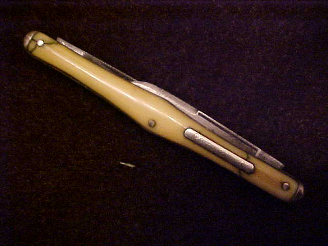 Ivory13.JPG