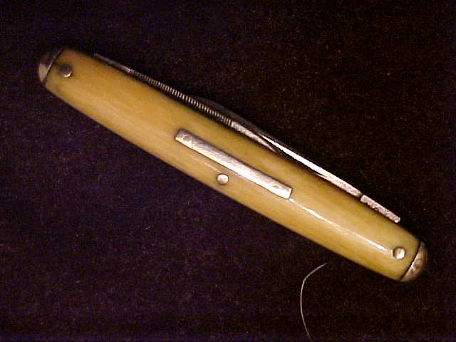 Ivory17.JPG