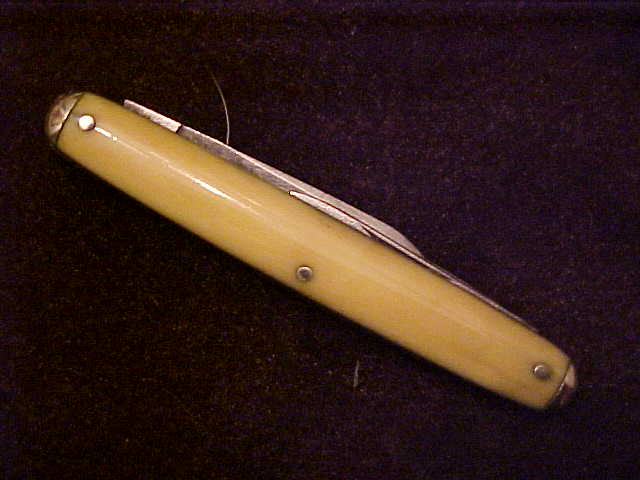 Ivory18.JPG