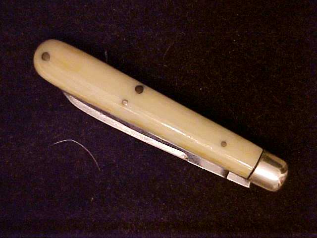 Ivory20.JPG