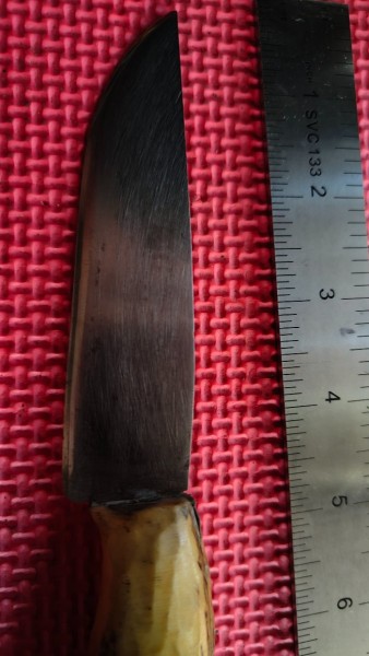IMG20230817123011.jpg