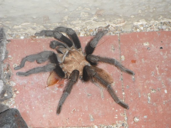 DSCF3555.JPG