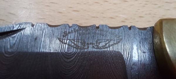20230824_004434.jpg