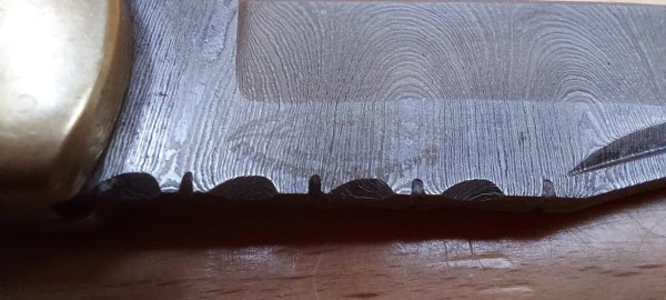 20230824_004508.jpg