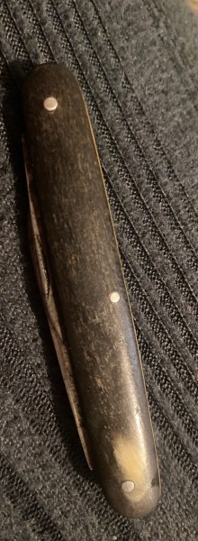 IMG_2315.jpeg