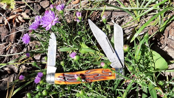 Schrade USA 8OT with Jeffin Wormgroove