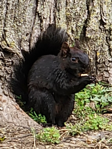 20230917_102340.jpg