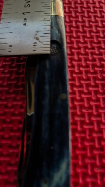 IMG20231004131406.jpg
