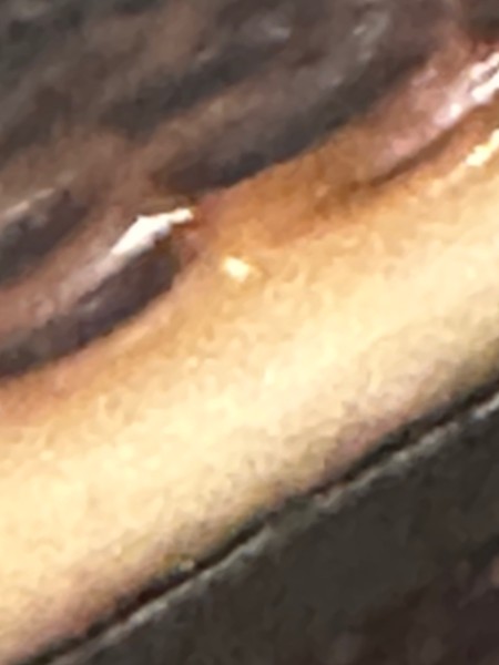 IMG_6877.jpeg