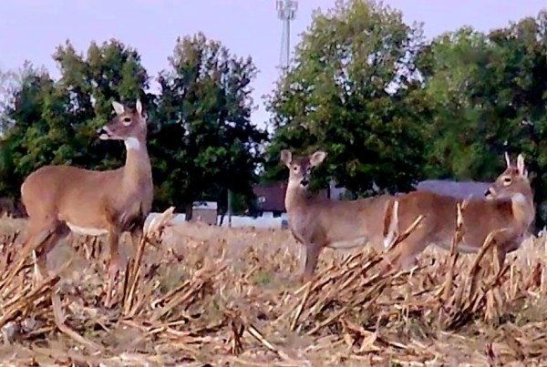VideoCapture_20231017-184235.jpg