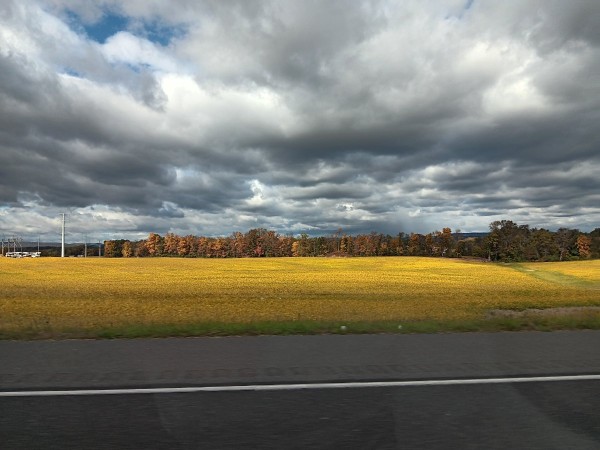 20231021_105630.jpg