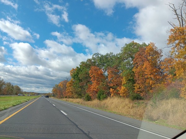 20231021_105155.jpg