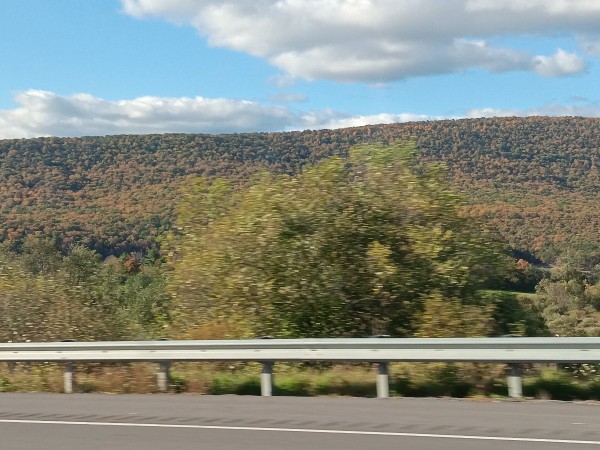 20231022_162035.jpg