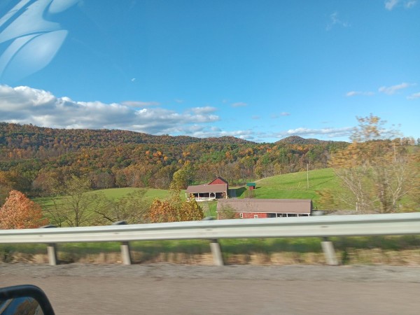 20231022_161534.jpg