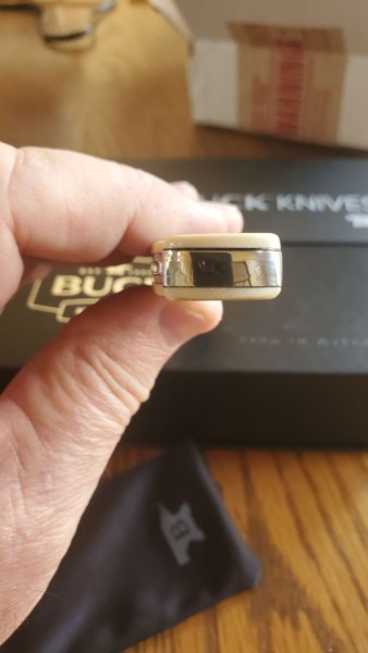 Buck 503 Gap.jpg